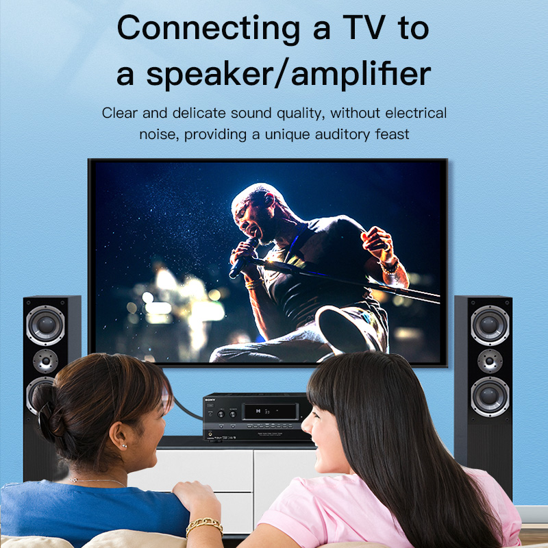 CHOSEAL สาย RCA สายสัญญาณเสียง - Home Cinema Beamer บทวิจารณ์และราคา